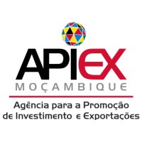 APIEX Logo