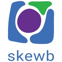 Skewb Ltd Logo