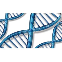 GeneLink Biosciences, Inc Logo