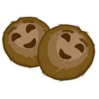 Double Coconut - Mobile and Web Game Development Logo