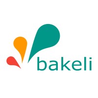 Bakeli School of Technology Logo