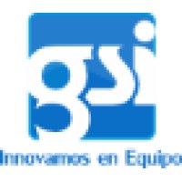 GSI Graphic Solutions International Logo