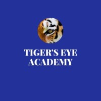 Tigers Eye Academy Logo