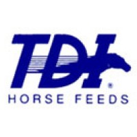 TDI Logo