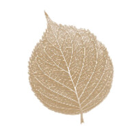 Life & Legacy Advisory Group Logo