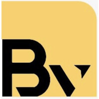 BRAINS VALLEY CO. Logo