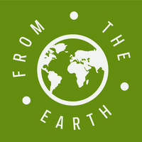 From the Earth Logo
