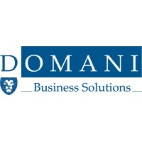 Domani Business Solutions Logo