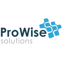 Prowise Solutions Inc Logo