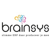BrainSys BV Logo
