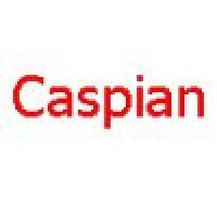 Caspian CM Consulting LLC Logo