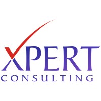 XPERT CONSULTING Logo