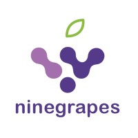 Nine Grapes Logo