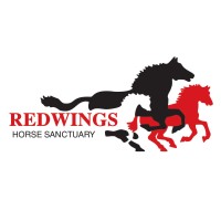 Redwings Horse Sanctuary Logo