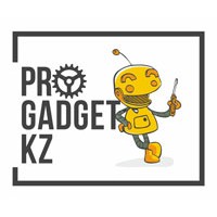 ProGadget.KZ Logo