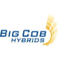 Big Cob Hybrids Logo