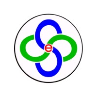 S S Engineering Logo