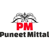 Puneet Mittal Digital Marketing Logo