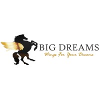 Big Dreams Logo