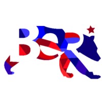 TheBearConsulting Logo