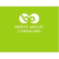 Bright Angles Consulting LLP Logo