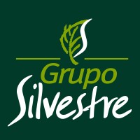 Grupo Silvestre Logo