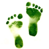 Green Initiatives Logo