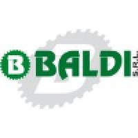Baldi - Produzione e noleggio di carrelli elevatori, piattaforme aeree, macchine e prodotti pulizia Logo