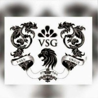 V.S.G Co Logo