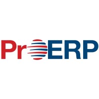 ProERPMinds Logo