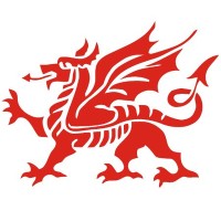 Wales Express News, Web Hosting, Videos, & Marketing Services Logo