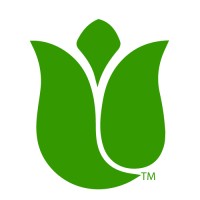 Distinctive Designs International, Inc. Logo