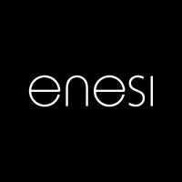 Enesi s.r.l. Logo