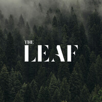 The Leaf Logo