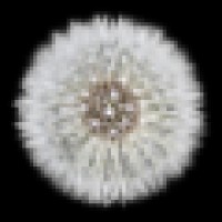 Jevons Global Pty Ltd Logo