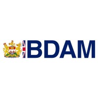 BDAM Foundation Logo