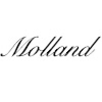 Molland Consultancy Logo