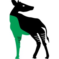 Okapi AI Logo