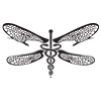Dragonfly Strategy Logo