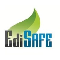 EdiSafe Logistics Pvt. Ltd. Logo