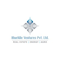 Blue Nile Ventures Pvt. Ltd. Logo