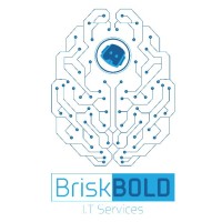 BriskBold IT Services Logo