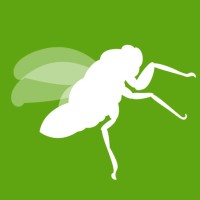 Cicada Graphics & Communications Logo