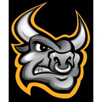 Conveyabull, Inc. Logo