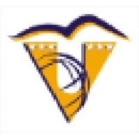 Travel Vacations Inc Logo
