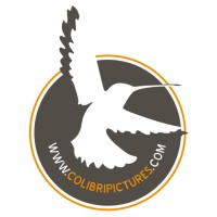 COLIBRI PICTURES Logo