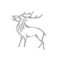 Bolur Capital Partners Logo