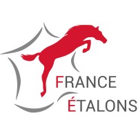 FRANCE ETALONS Logo