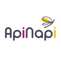APINAPI Logo