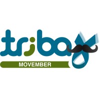 TRIBAY Agence demploi-CDD-CDI Logo